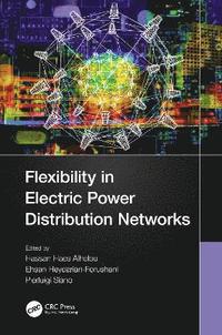 bokomslag Flexibility in Electric Power Distribution Networks