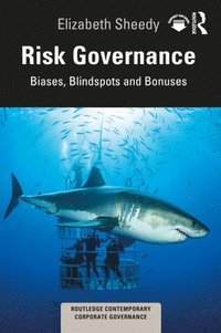 bokomslag Risk Governance