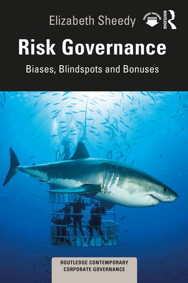 Elizabeth Sheedy - Risk Governance, Häftad