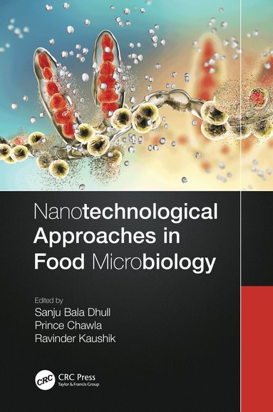 Sanju Bala Dhull, Prince Chawla, Ravinder Kaushik - Nanotechnological Approaches in Food Microbiology, Häftad