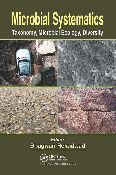 bokomslag Microbial Systematics