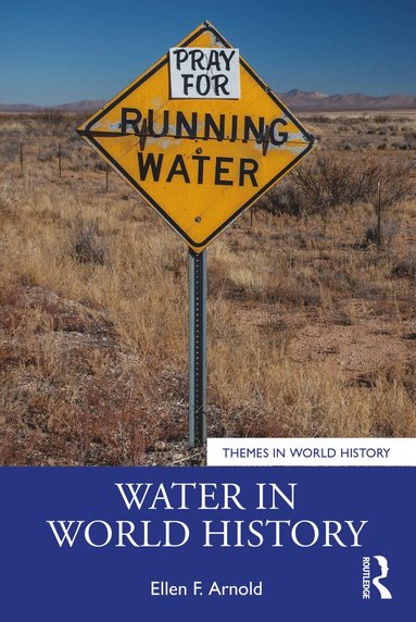 bokomslag Water in World History