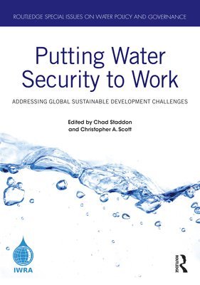 Putting Water Security to Work 1