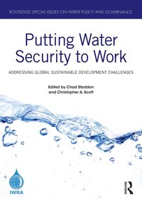 bokomslag Putting Water Security to Work