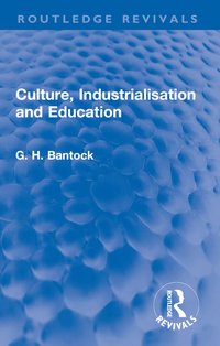 bokomslag Culture, Industrialisation and Education