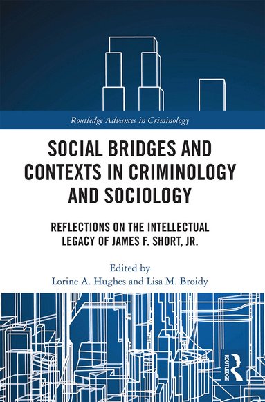 Lorine Hughes, Lisa Broidy - Social Bridges and Contexts in Criminology and Sociology, Häftad