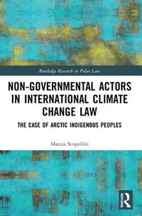 bokomslag Non-Governmental Actors in International Climate Change Law