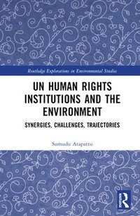 bokomslag UN Human Rights Institutions and the Environment