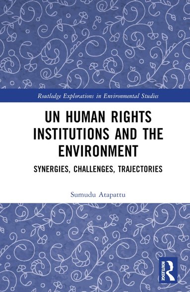 bokomslag UN Human Rights Institutions and the Environment