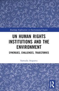 bokomslag UN Human Rights Institutions and the Environment