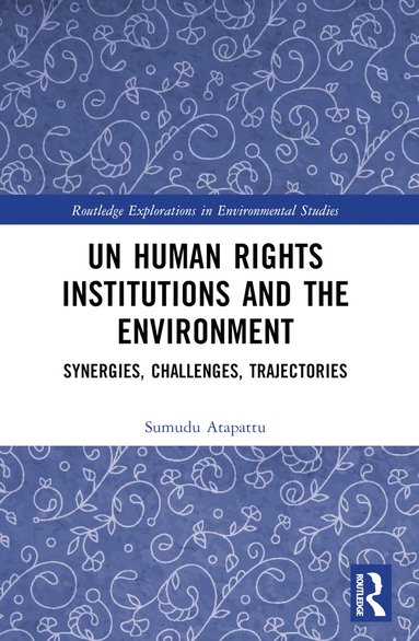 bokomslag UN Human Rights Institutions and the Environment