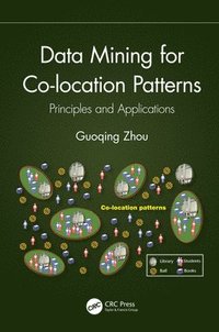 bokomslag Data Mining for Co-location Patterns