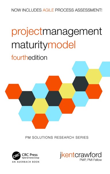 bokomslag Project Management Maturity Model