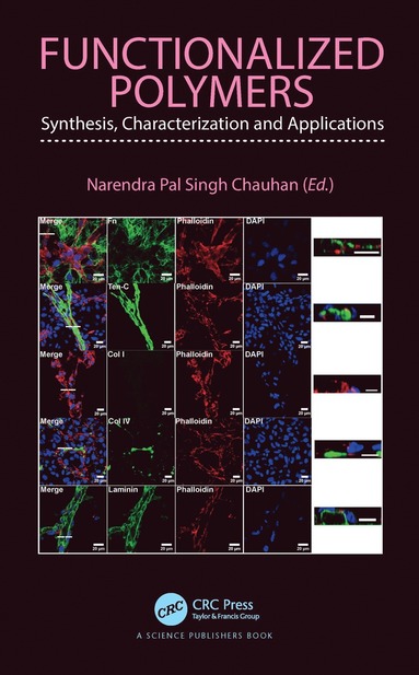 bokomslag Functionalized Polymers