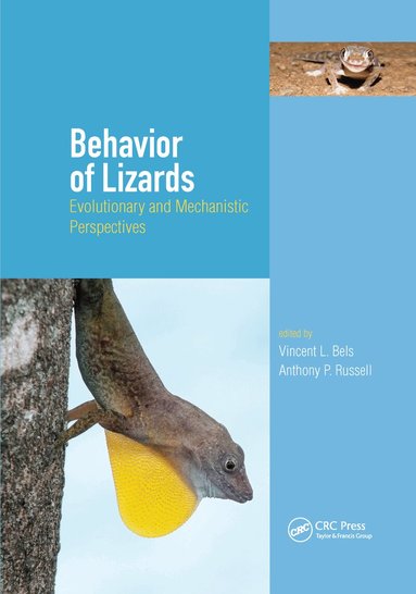 Vincent Bels, Anthony Russell - Behavior of Lizards, Häftad