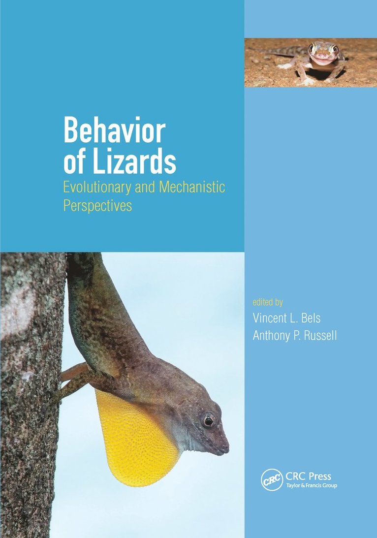 Vincent Bels, Anthony Russell, France) Bels, Vincent (Sorbonne Universite, Museum national d’Histoire Naturelle, Institut de Systematique Evolution Biodiversite - Behavior of Lizards, Häftad