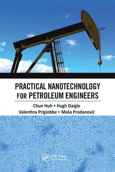 bokomslag Practical Nanotechnology for Petroleum Engineers