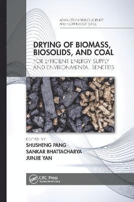 Shusheng Pang, Sankar Bhattacharya, Junjie Yan, Australia) Bhattacharya, Sankar (Monash University, Melbourne - Drying of Biomass, Biosolids, and Coal, Häftad