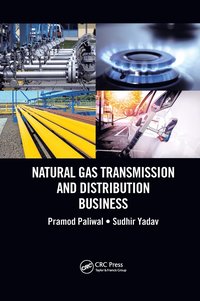 bokomslag Natural Gas Transmission and Distribution Business