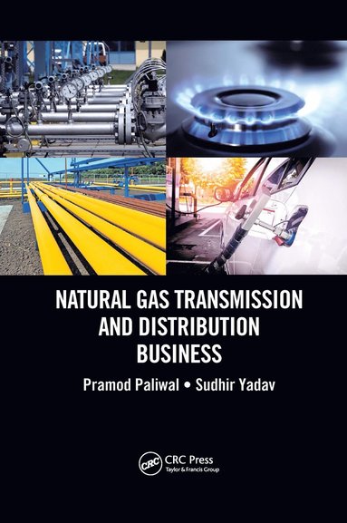 bokomslag Natural Gas Transmission and Distribution Business