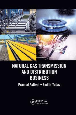 Natural Gas Transmission and Distribution Business 1