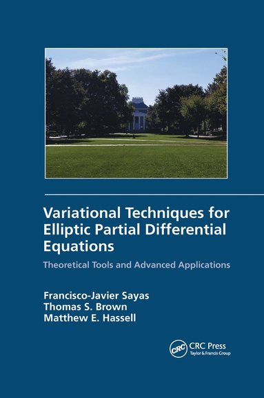 bokomslag Variational Techniques for Elliptic Partial Differential Equations