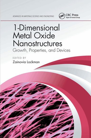 Zainovia Lockman - 1-Dimensional Metal Oxide Nanostructures, Häftad