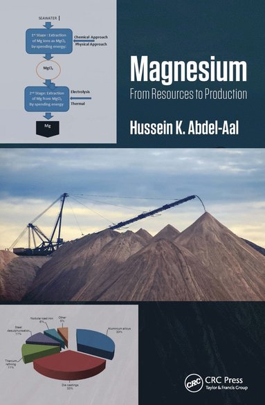 bokomslag Magnesium: From Resources to Production