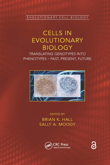 bokomslag Cells in Evolutionary Biology