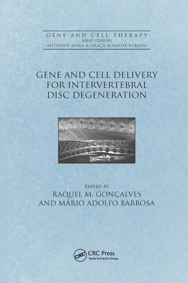 Raquel Madeira Gonçalves, Mario Adolfo Barbosa - Gene and Cell Delivery for Intervertebral Disc Degeneration, Häftad