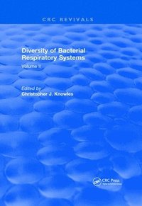bokomslag Diversity of Bacterial Respiratory Systems