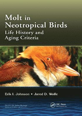 bokomslag Molt in Neotropical Birds