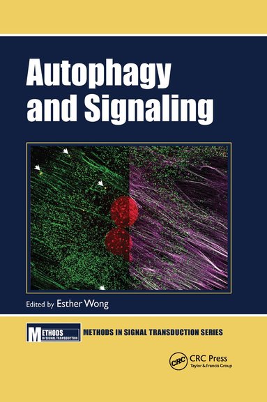 Esther Wong - Autophagy and Signaling, Häftad