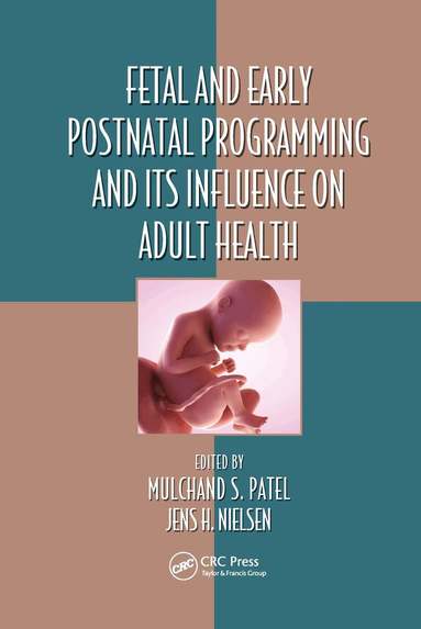 Mulchand S. Patel, Jens H. Nielsen - Fetal and Early Postnatal Programming and its Influence on Adult Health, Häftad
