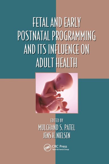 bokomslag Fetal and Early Postnatal Programming and its Influence on Adult Health