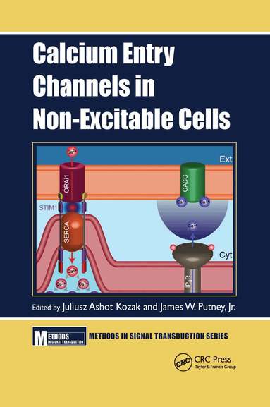 Juliusz Ashot Kozak, Jr. Putney - Calcium Entry Channels in Non-Excitable Cells, Häftad
