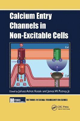 Juliusz Ashot Kozak, Jr. Putney - Calcium Entry Channels in Non-Excitable Cells, Häftad