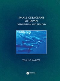 bokomslag Small Cetaceans of Japan