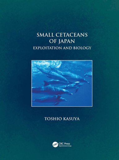 bokomslag Small Cetaceans of Japan