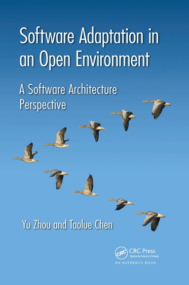 Yu Zhou, Taolue Chen - Software Adaptation in an Open Environment, Häftad