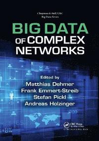 bokomslag Big Data of Complex Networks