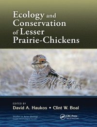 bokomslag Ecology and Conservation of Lesser Prairie-Chickens