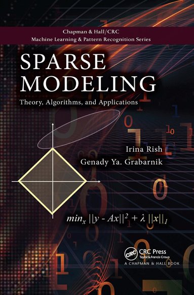 Irina Rish, Genady Grabarnik - Sparse Modeling, Häftad