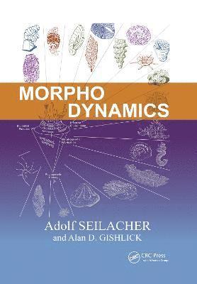 Morphodynamics 1