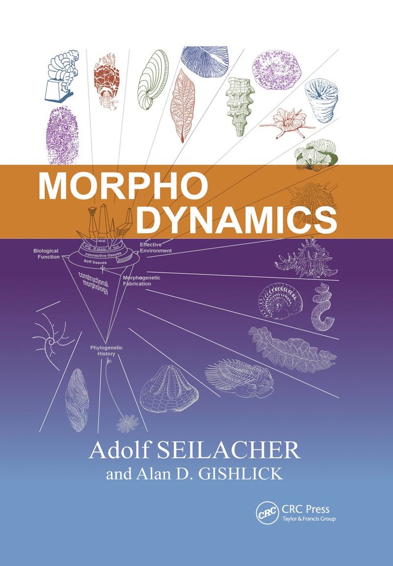Adolf Seilacher, Alan D. Gishlick - Morphodynamics, Häftad