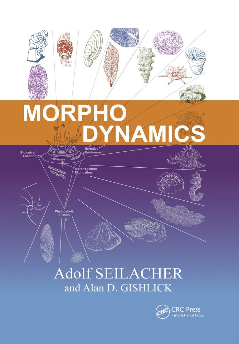 Morphodynamics 1