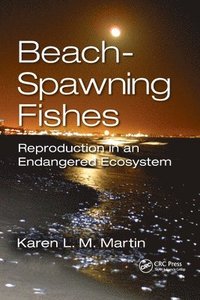 bokomslag Beach-Spawning Fishes