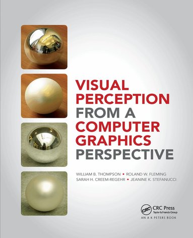 William Thompson, Roland Fleming, Sarah Creem-Regehr, Jeanine Kelly Stefanucci - Visual Perception from a Computer Graphics Perspective, Häftad