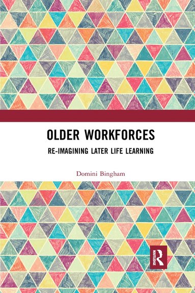 bokomslag Older Workforces