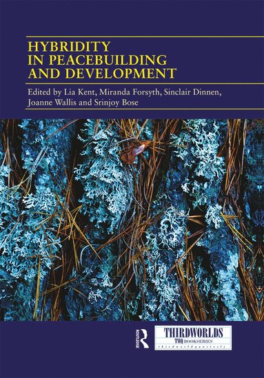 bokomslag Hybridity in Peacebuilding and Development